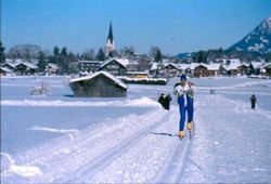 250px-Oberstdorf-villageview.jpg, 10 KB